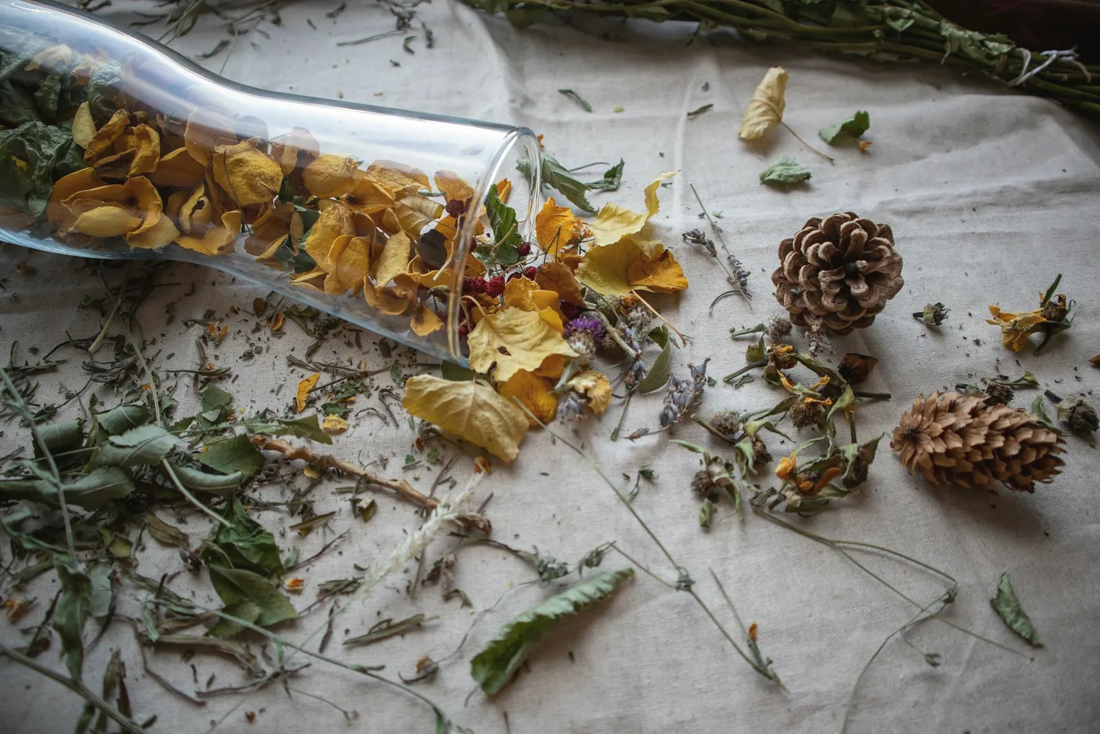 Dried herbs, yellow petals and pine cones spilling from a glass bottle onto natural linen